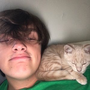 Meet your Posher, Brady